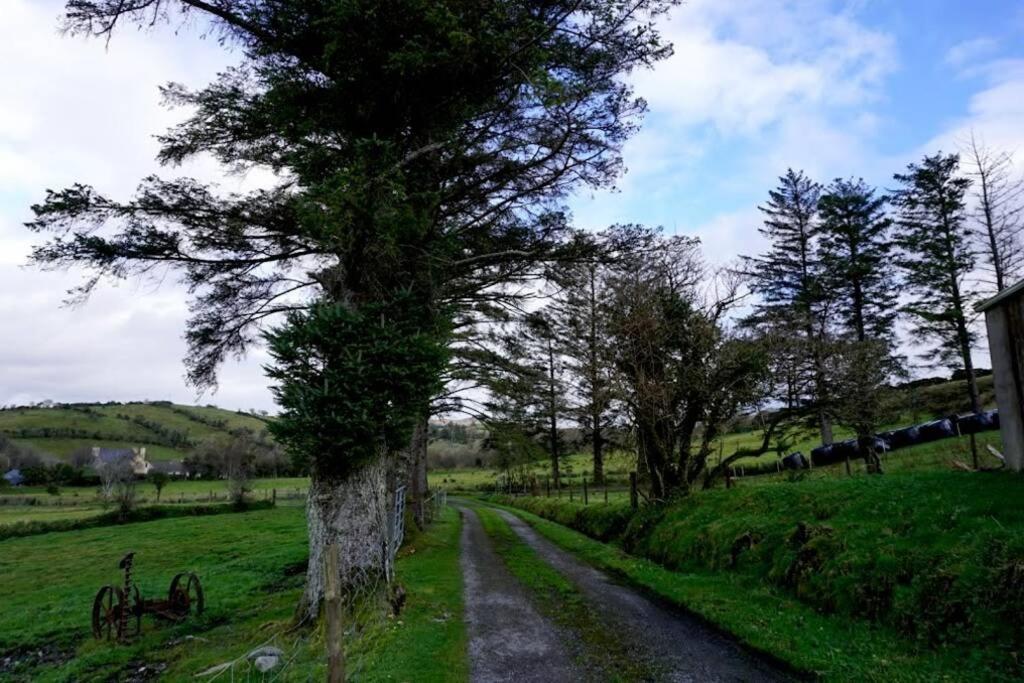 Meenadreen Cottage Donegal Town Exterior foto